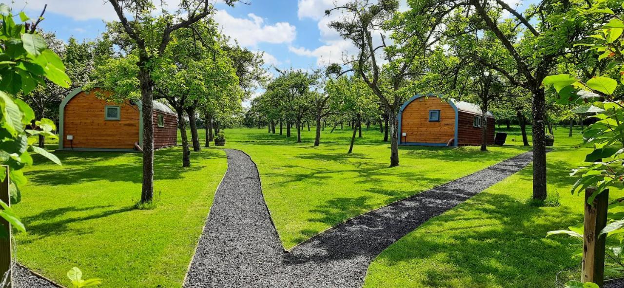 Orchard Farm Luxury Glamping And Campsite Glastonbury Eksteriør bilde