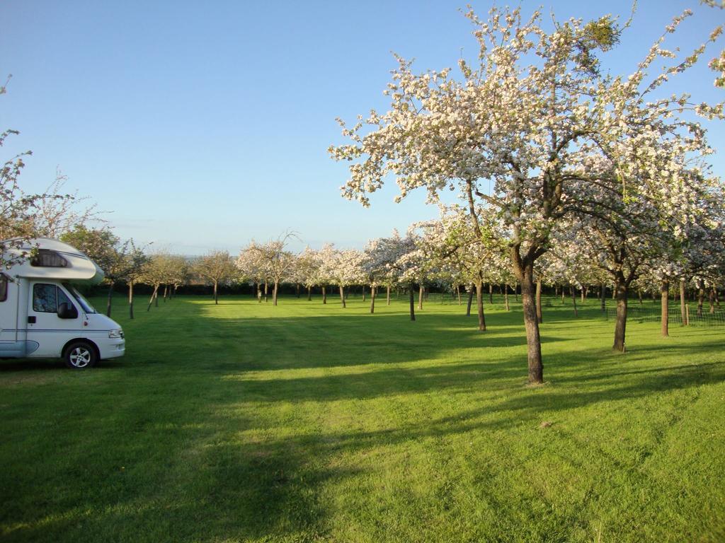 Orchard Farm Luxury Glamping And Campsite Glastonbury Eksteriør bilde
