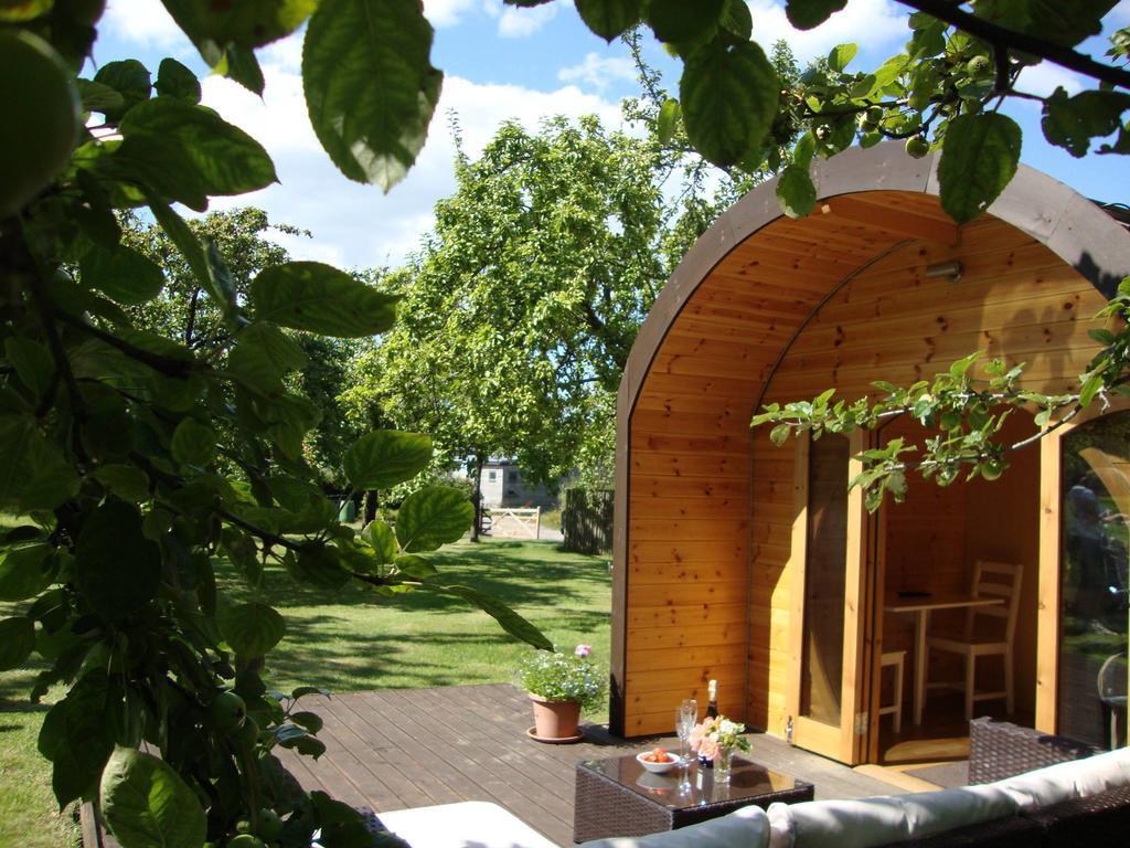 Orchard Farm Luxury Glamping And Campsite Glastonbury Eksteriør bilde