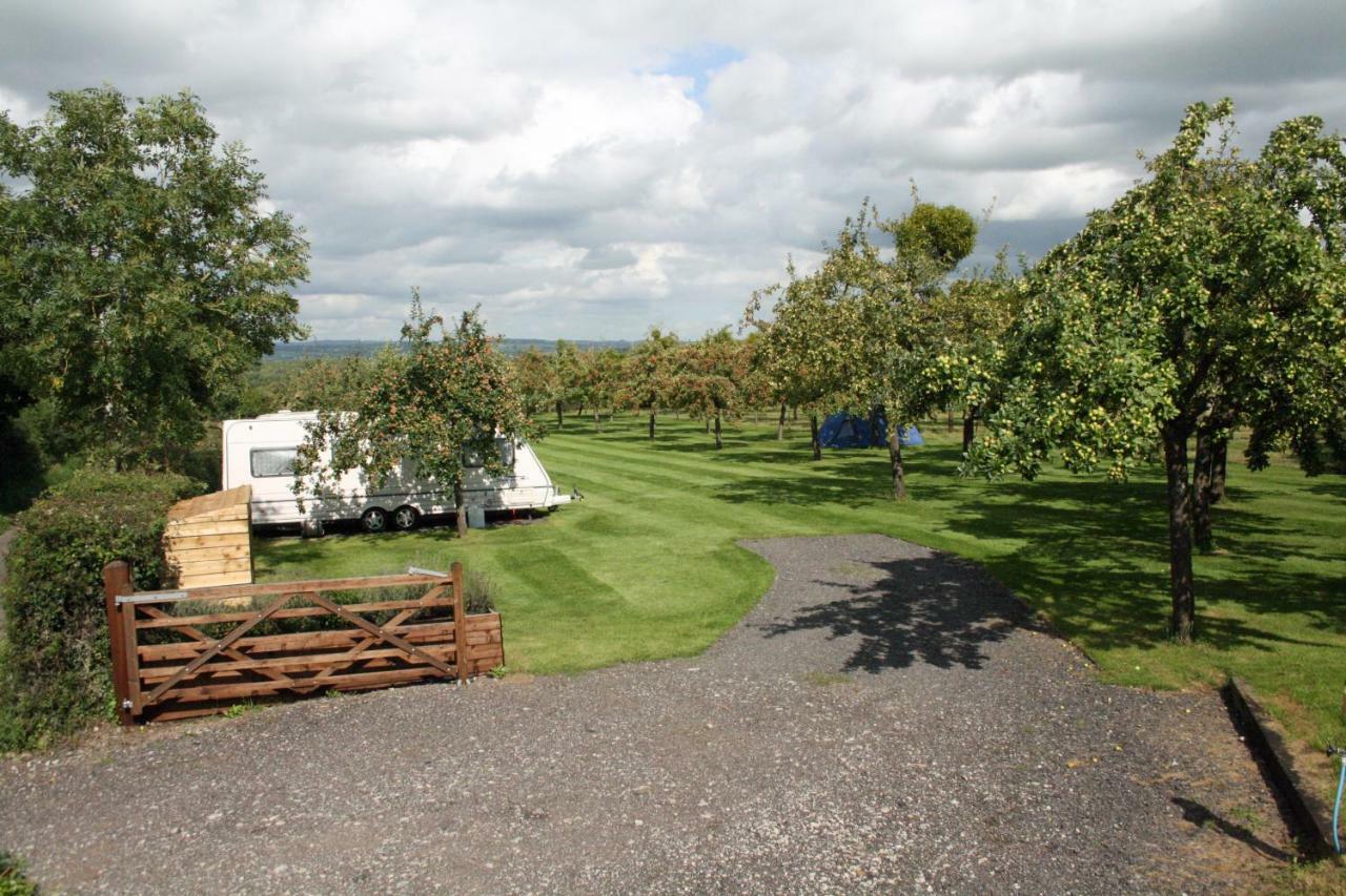 Orchard Farm Luxury Glamping And Campsite Glastonbury Eksteriør bilde